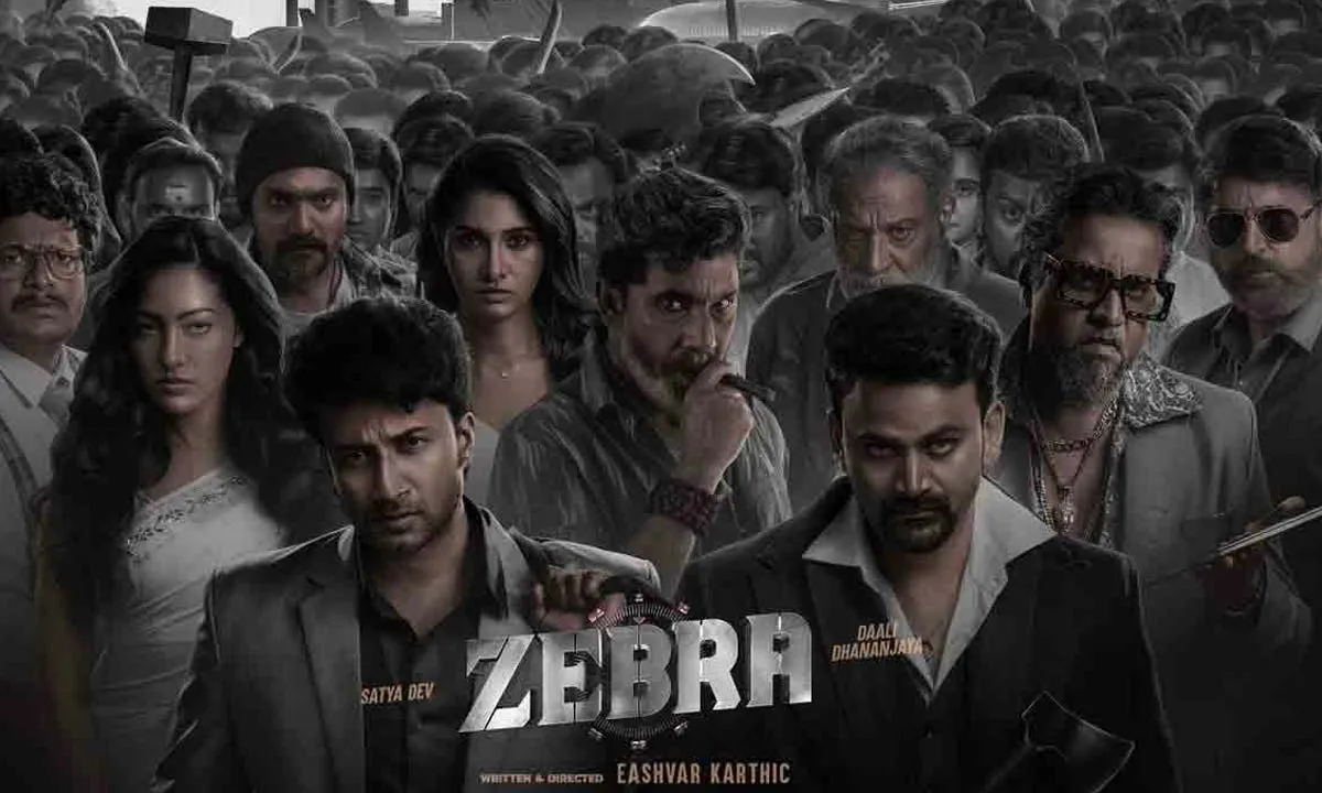 Zebra - Latest Movie review